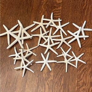 Natural Starfish Decor Set